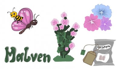Malven Malven
